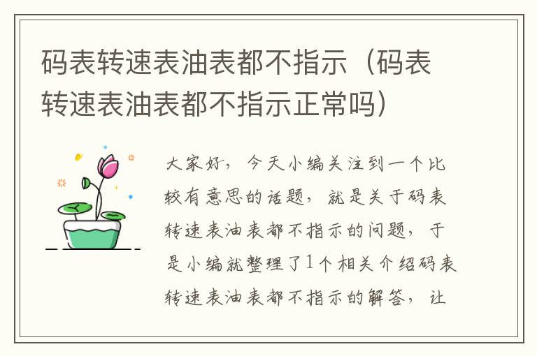 码表转速表油表都不指示（码表转速表油表都不指示正常吗）