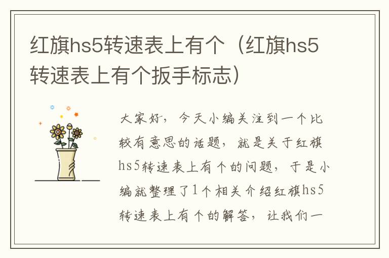 红旗hs5转速表上有个（红旗hs5转速表上有个扳手标志）