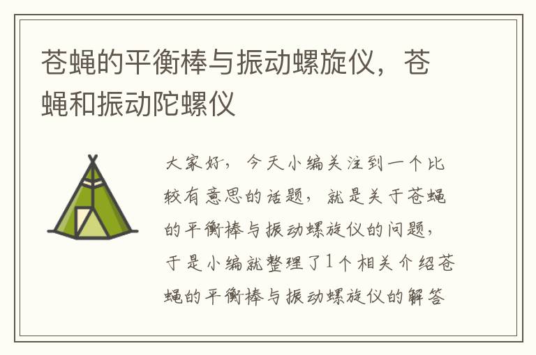 苍蝇的平衡棒与振动螺旋仪，苍蝇和振动陀螺仪