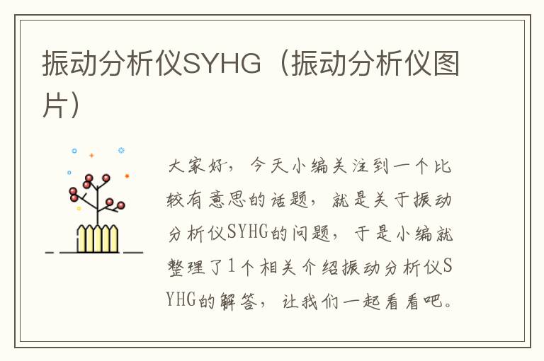 振动分析仪SYHG（振动分析仪图片）