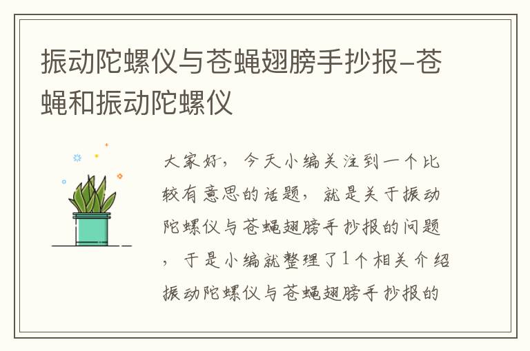 振动陀螺仪与苍蝇翅膀手抄报-苍蝇和振动陀螺仪