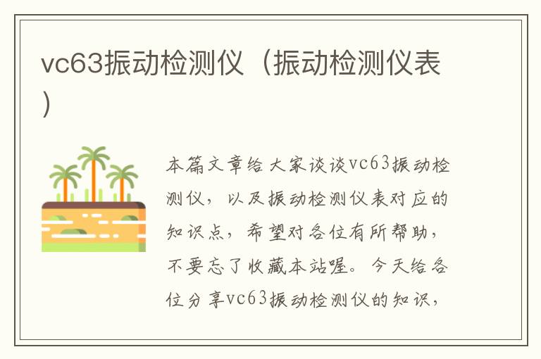 vc63振动检测仪（振动检测仪表）