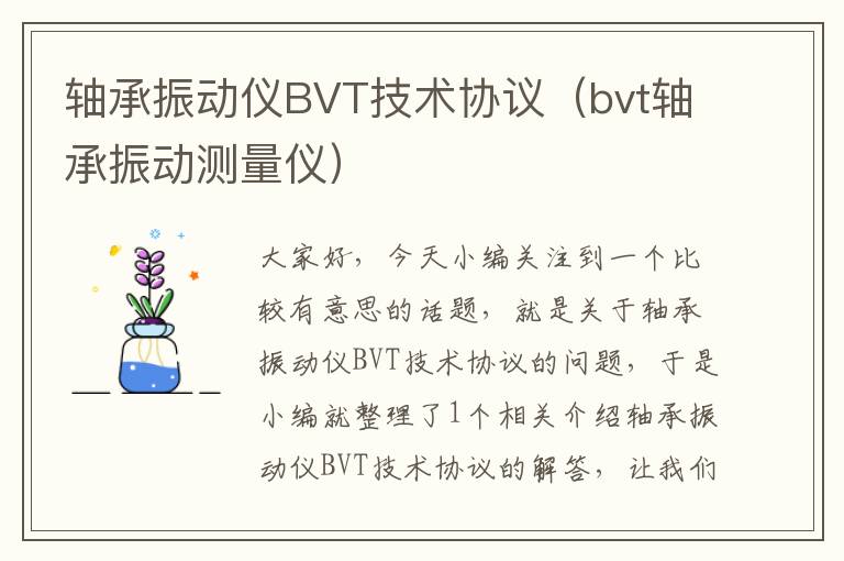 轴承振动仪BVT技术协议（bvt轴承振动测量仪）