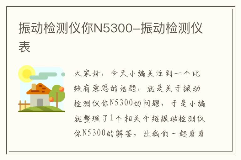 振动检测仪你N5300-振动检测仪表