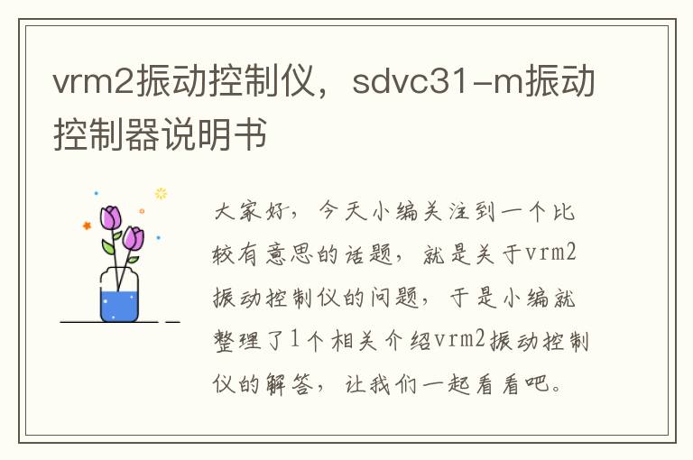 vrm2振动控制仪，sdvc31-m振动控制器说明书