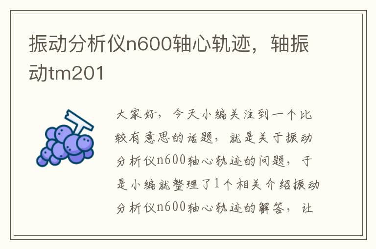 振动分析仪n600轴心轨迹，轴振动tm201