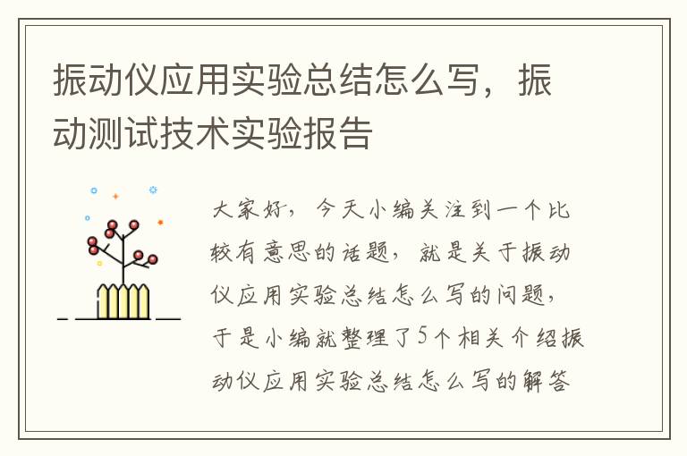 振动仪应用实验总结怎么写，振动测试技术实验报告