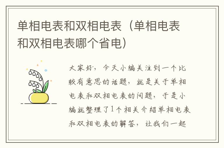 单相电表和双相电表（单相电表和双相电表哪个省电）