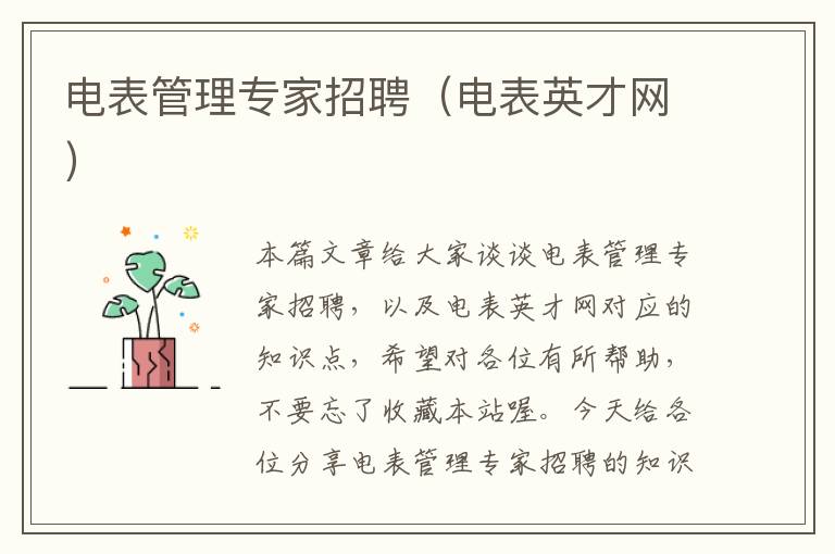 电表管理专家招聘（电表英才网）