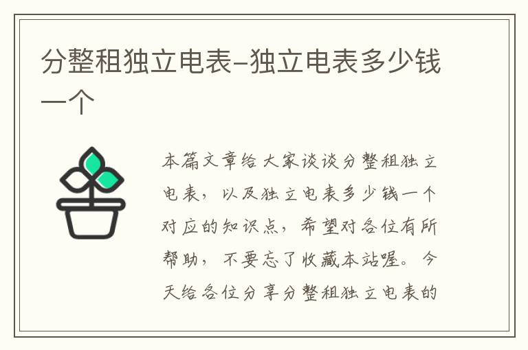 分整租独立电表-独立电表多少钱一个