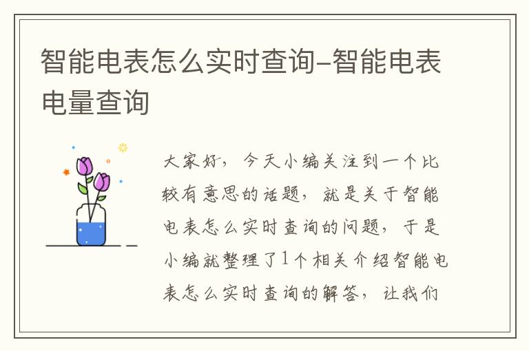 智能电表怎么实时查询-智能电表电量查询