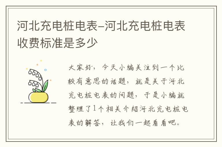 河北充电桩电表-河北充电桩电表收费标准是多少