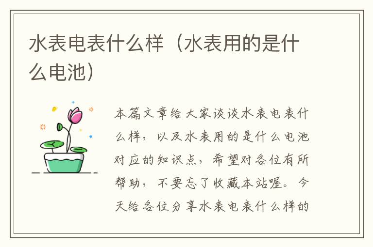 水表电表什么样（水表用的是什么电池）