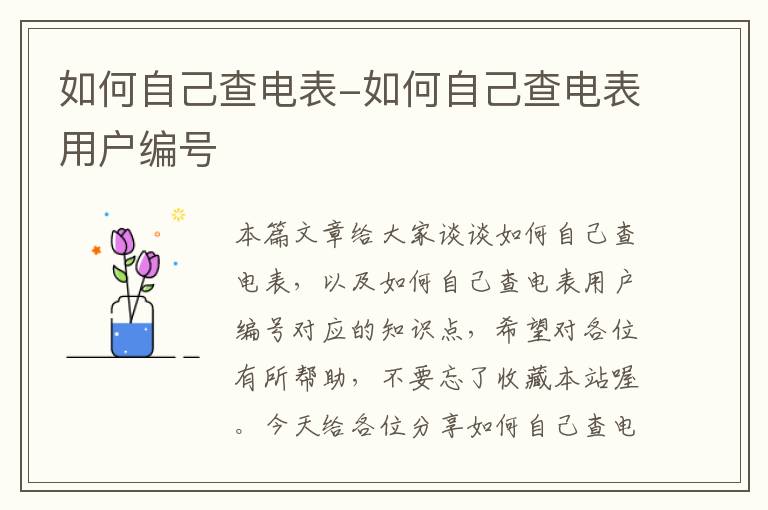 如何自己查电表-如何自己查电表用户编号