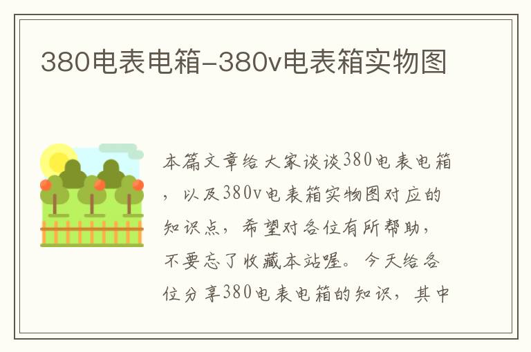 380电表电箱-380v电表箱实物图