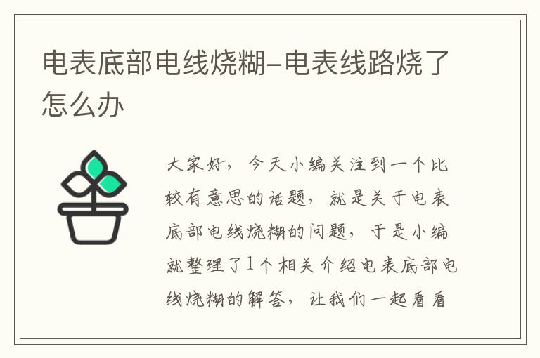 电表底部电线烧糊-电表线路烧了怎么办