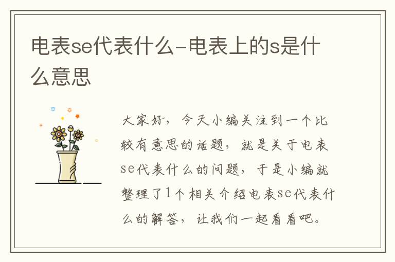 电表se代表什么-电表上的s是什么意思