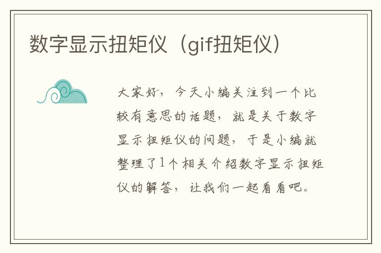 数字显示扭矩仪（gif扭矩仪）