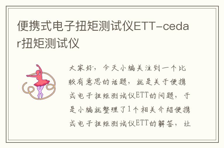 便携式电子扭矩测试仪ETT-cedar扭矩测试仪