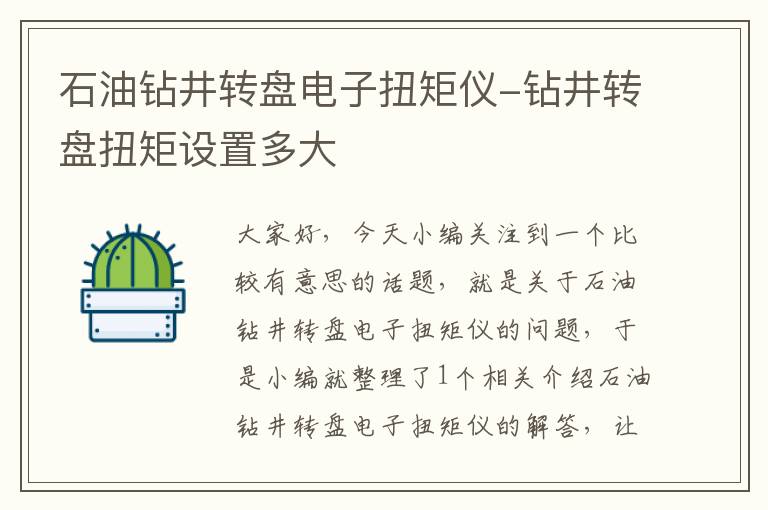 石油钻井转盘电子扭矩仪-钻井转盘扭矩设置多大