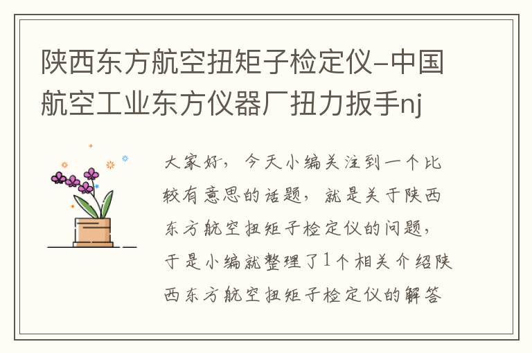 陕西东方航空扭矩子检定仪-中国航空工业东方仪器厂扭力扳手nj-e型号