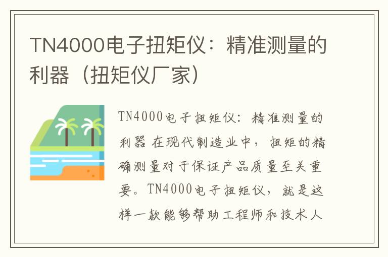 TN4000电子扭矩仪：精准测量的利器（扭矩仪厂家）