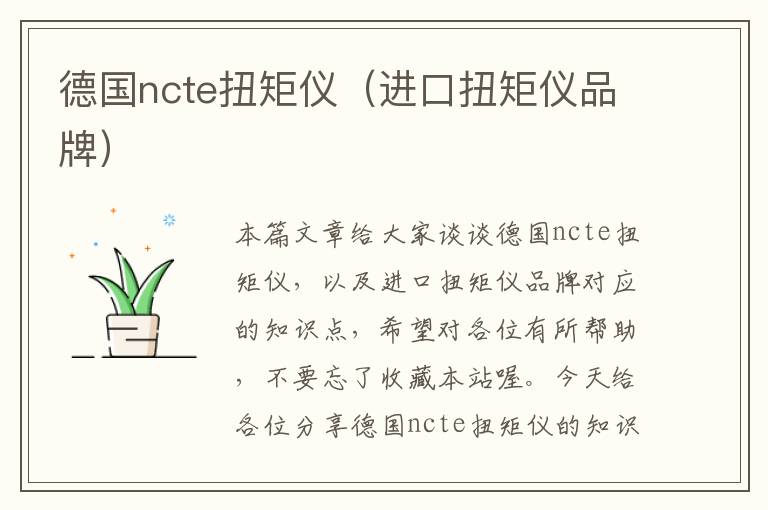 德国ncte扭矩仪（进口扭矩仪品牌）