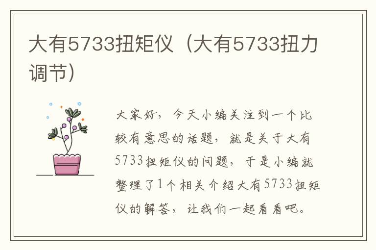 大有5733扭矩仪（大有5733扭力调节）