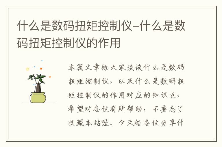 什么是数码扭矩控制仪-什么是数码扭矩控制仪的作用