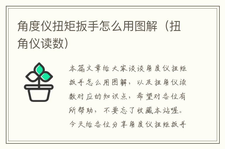 角度仪扭矩扳手怎么用图解（扭角仪读数）