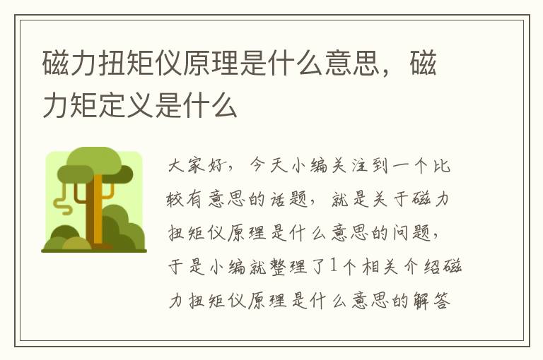 磁力扭矩仪原理是什么意思，磁力矩定义是什么