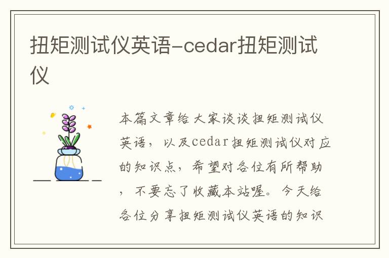 扭矩测试仪英语-cedar扭矩测试仪