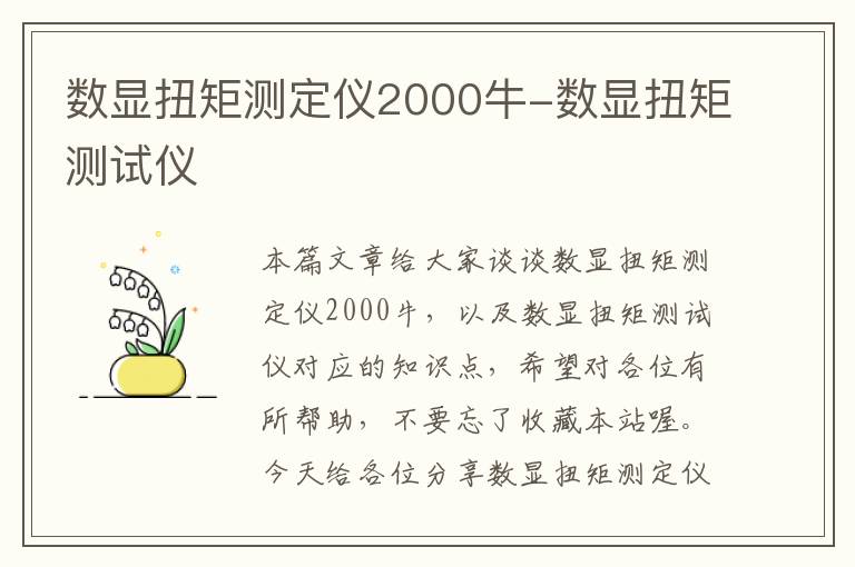 数显扭矩测定仪2000牛-数显扭矩测试仪