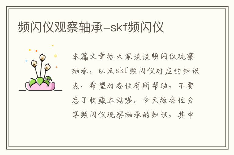 频闪仪观察轴承-skf频闪仪