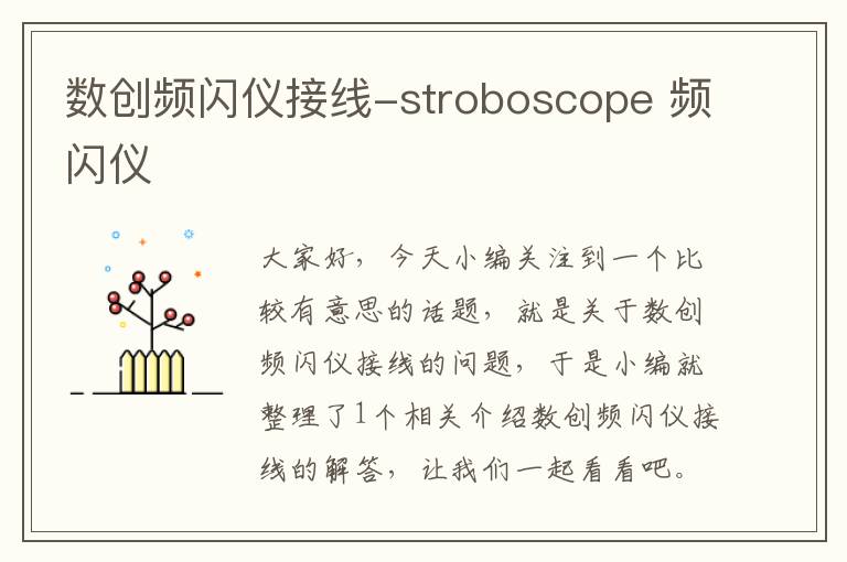 数创频闪仪接线-stroboscope 频闪仪