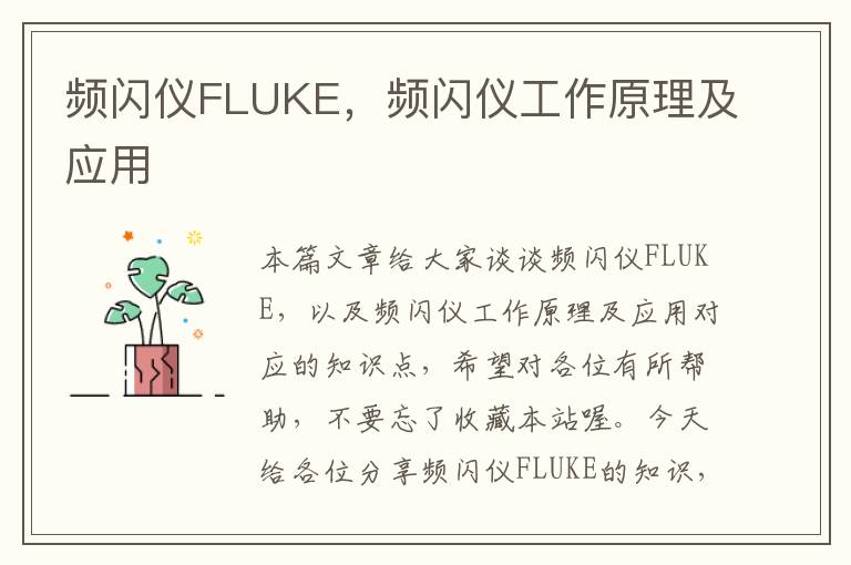 频闪仪FLUKE，频闪仪工作原理及应用