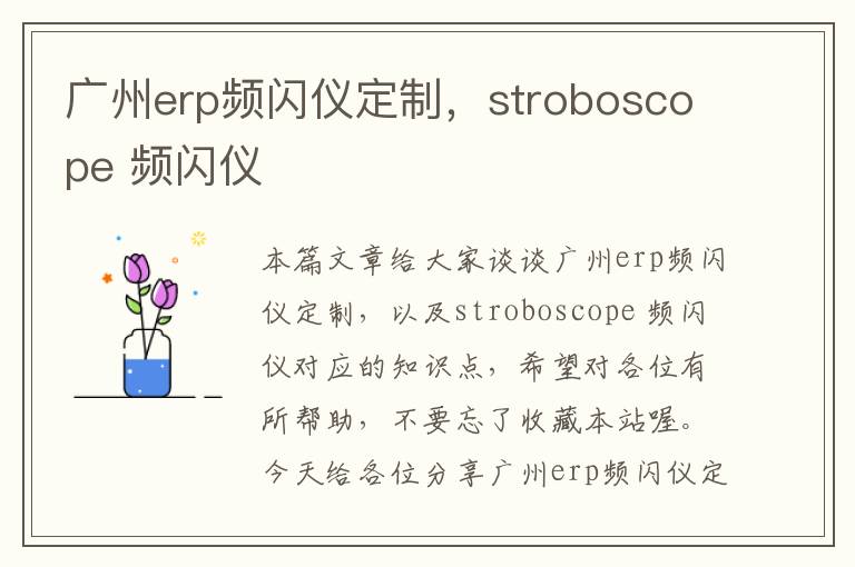 广州erp频闪仪定制，stroboscope 频闪仪