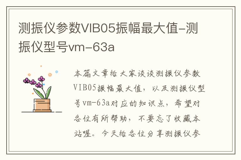 测振仪参数VIB05振幅最大值-测振仪型号vm-63a