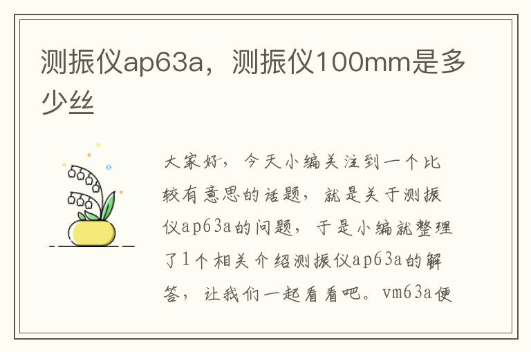 测振仪ap63a，测振仪100mm是多少丝