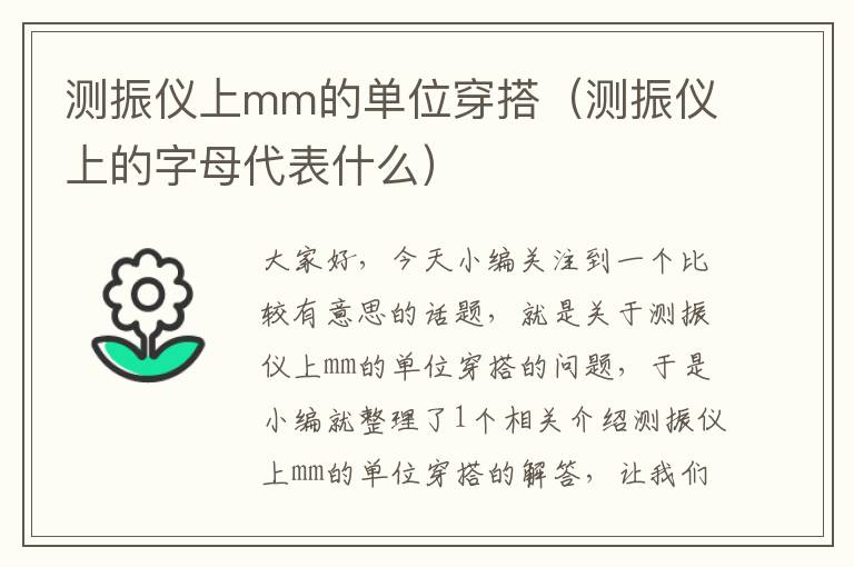 测振仪上mm的单位穿搭（测振仪上的字母代表什么）