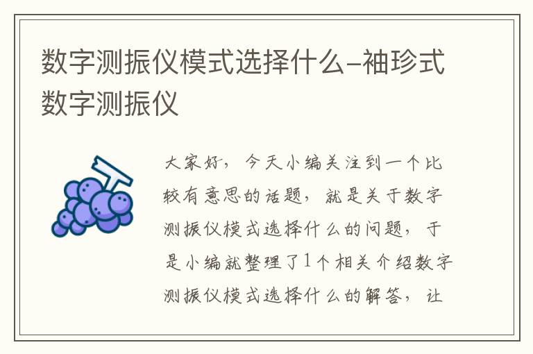 数字测振仪模式选择什么-袖珍式数字测振仪