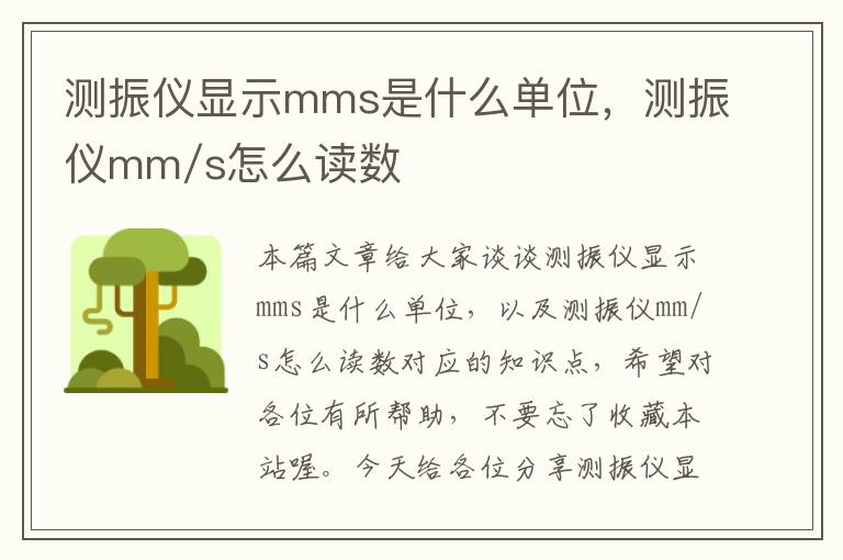 测振仪显示mms是什么单位，测振仪mm/s怎么读数