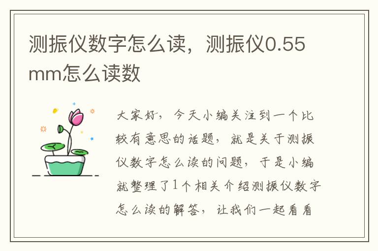 测振仪数字怎么读，测振仪0.55mm怎么读数