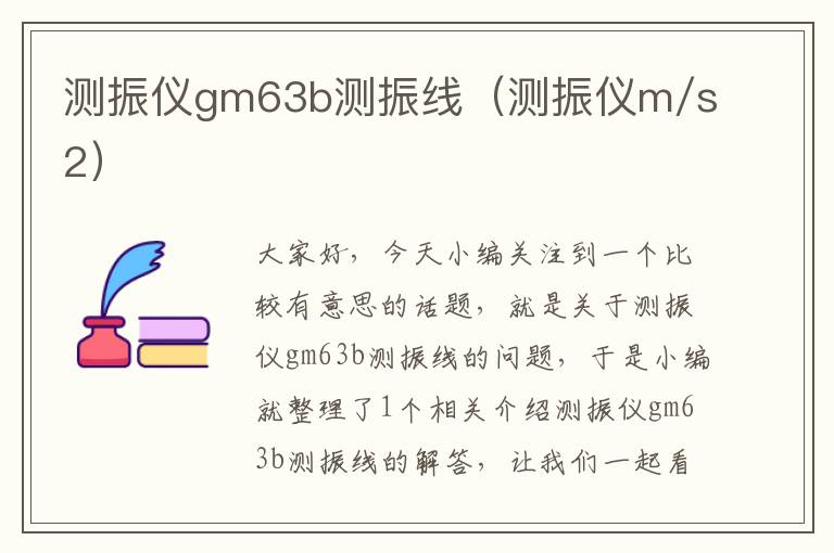 测振仪gm63b测振线（测振仪m/s2）