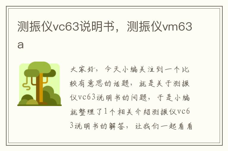 测振仪vc63说明书，测振仪vm63a