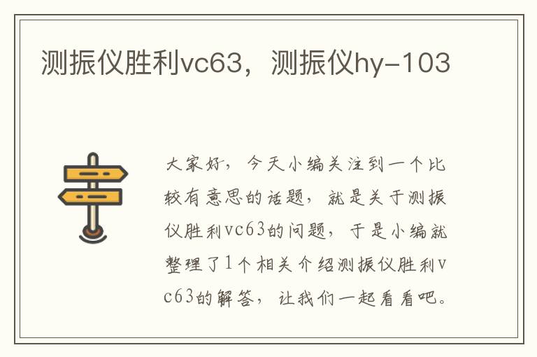 测振仪胜利vc63，测振仪hy-103