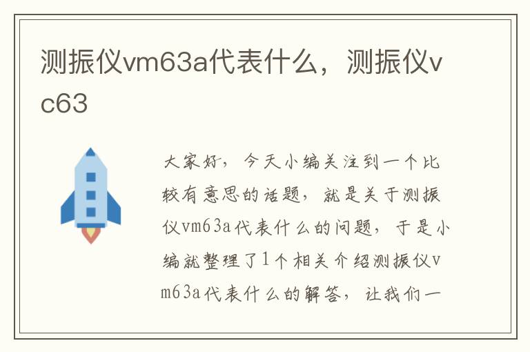 测振仪vm63a代表什么，测振仪vc63