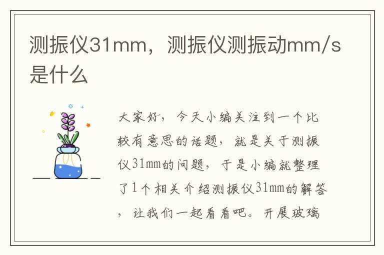 测振仪31mm，测振仪测振动mm/s是什么