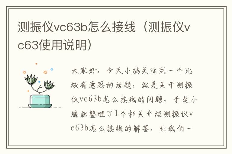 测振仪vc63b怎么接线（测振仪vc63使用说明）