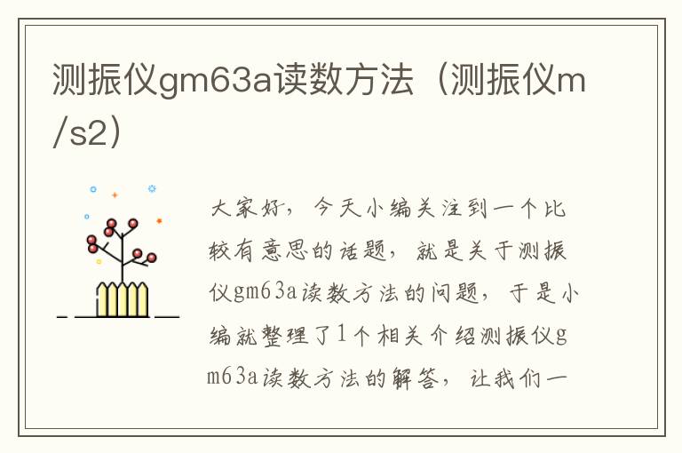 测振仪gm63a读数方法（测振仪m/s2）